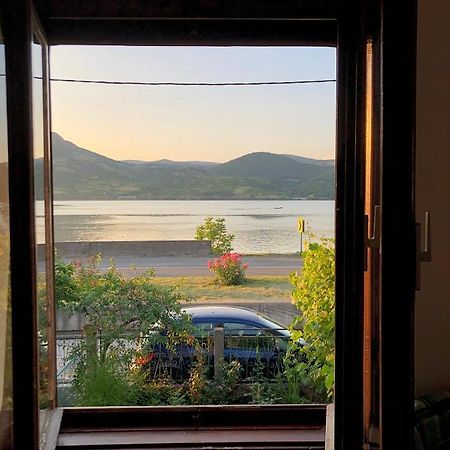 Apartman Velojic Donji Milanovac Buitenkant foto