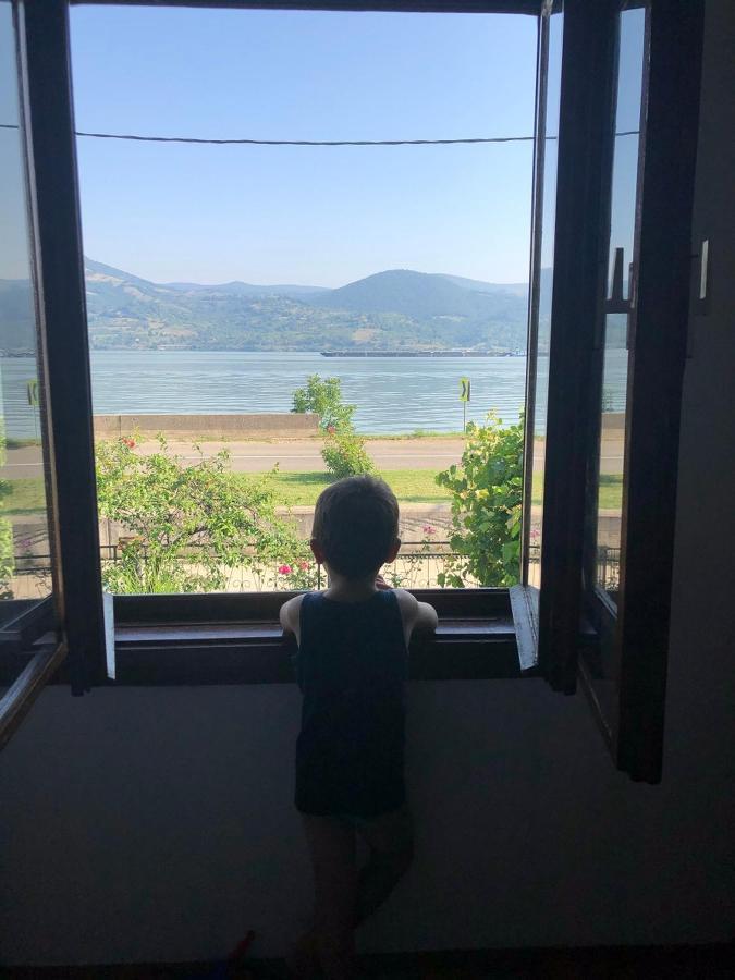 Apartman Velojic Donji Milanovac Buitenkant foto